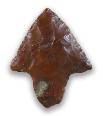 A projectile point from the Bull Collection