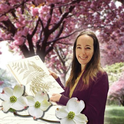 Graphic illustration of Collection Manager Sarah Taylor with dogwood flowers and an herbarium sheet
