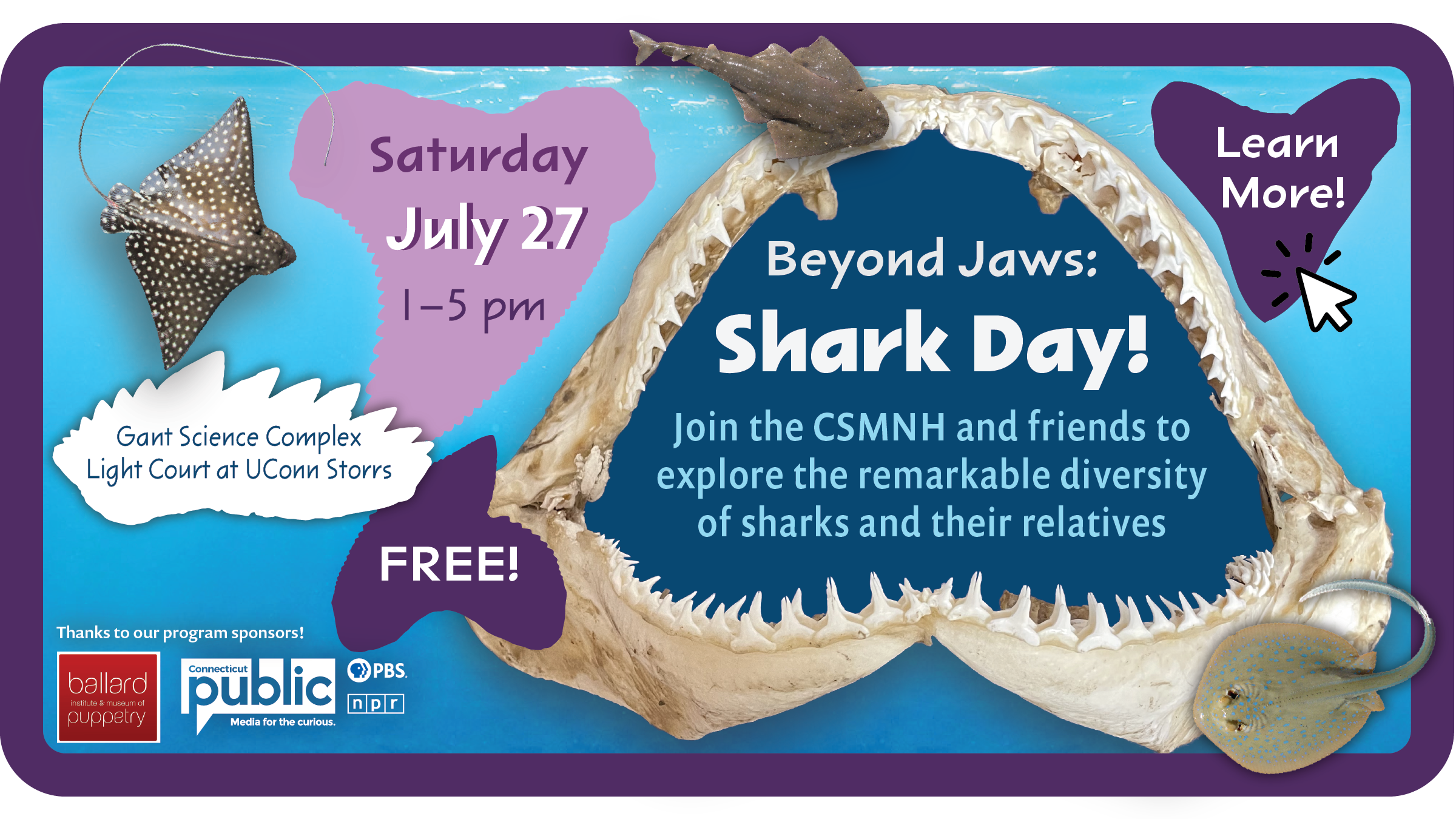 Graphic illustration for the event Shark Day Beyond Jaws at the Connecticut State Museum of Natural History.
