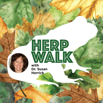 Herp Walk with Dr. Susan Herrick. Portrait of Dr. Herrick in a frog silhouette on a background of leaves.