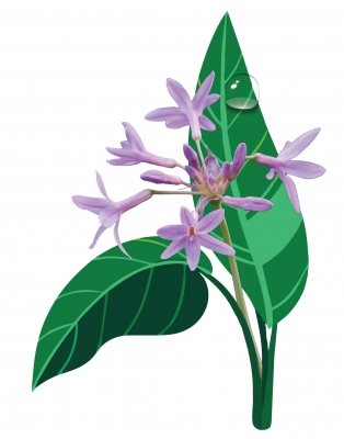 Living flower on an illustration of leaves
