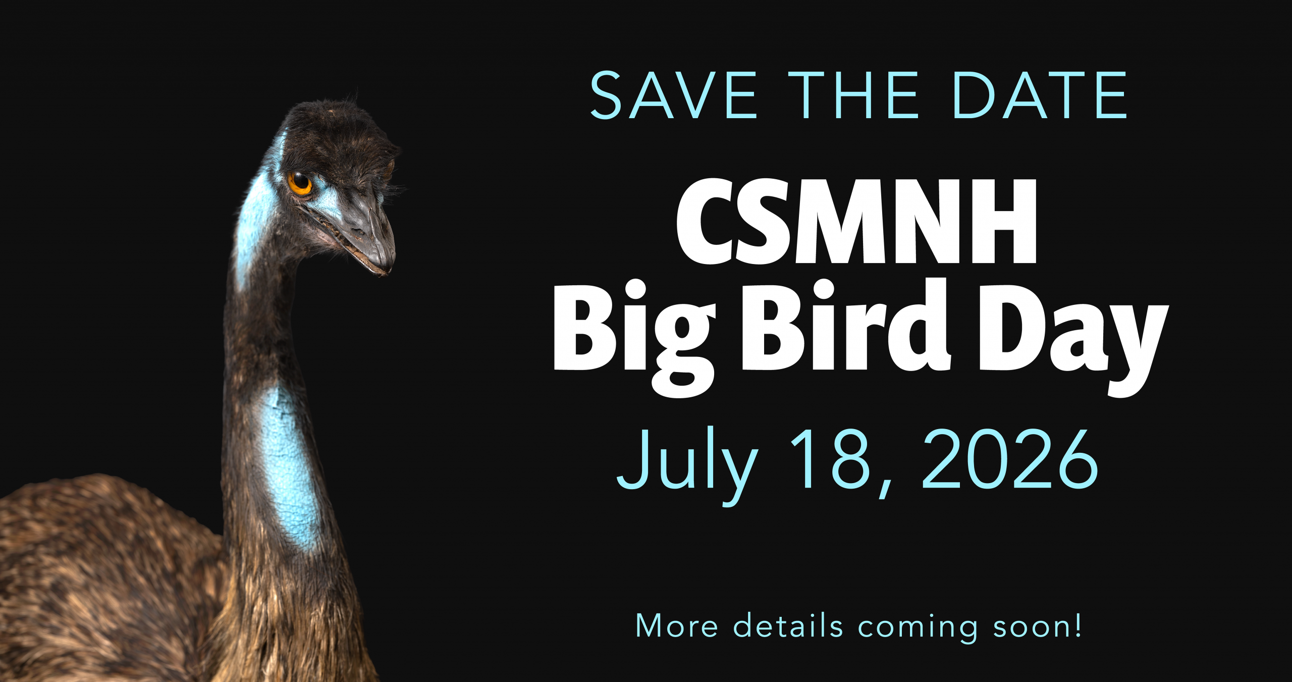 Save the Date for the CSMNH Big Bird Day this July 18. More details coming soon. Shows a photograph of a taxidermy emu.